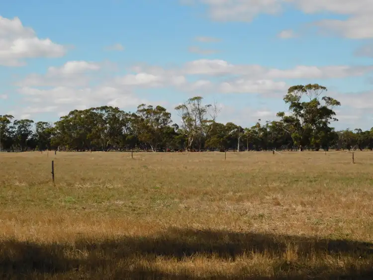 Seventh view of Homely rural property listing, 1878 Cannawigara Road, Bordertown SA 5268