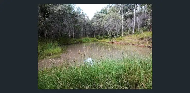 Seventh view of Homely rural property listing, 6289B Bruxner Highway, Tabulam NSW 2469