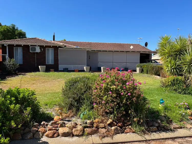 Main view of Homely house listing, 6 Adams Street, Williams WA 6391