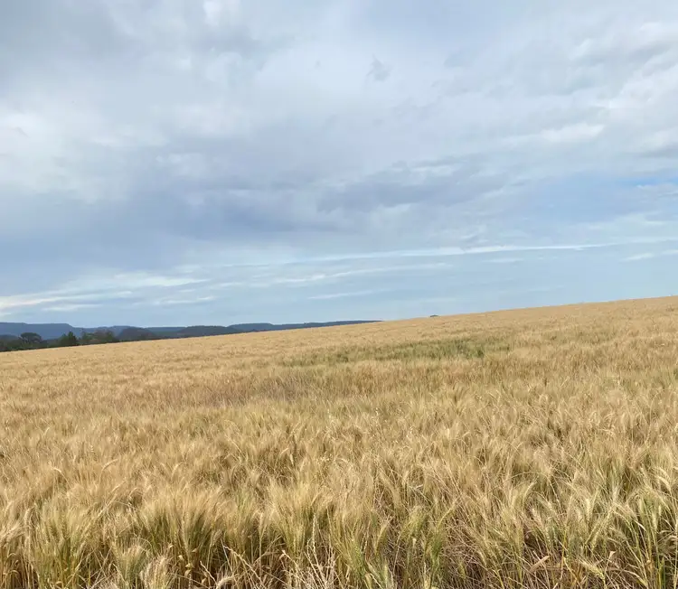 Seventh view of Homely rural property listing, " Greenmount, Edgeroi NSW 2390