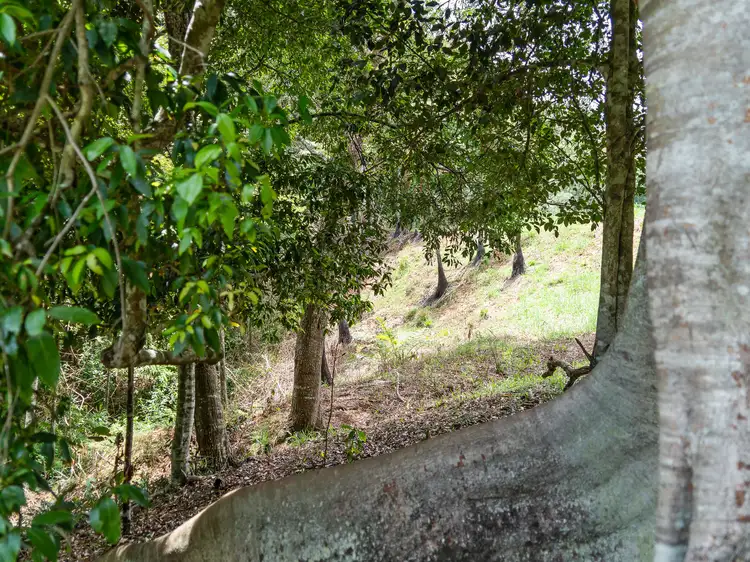 Seventh view of Homely land listing, Address available on request