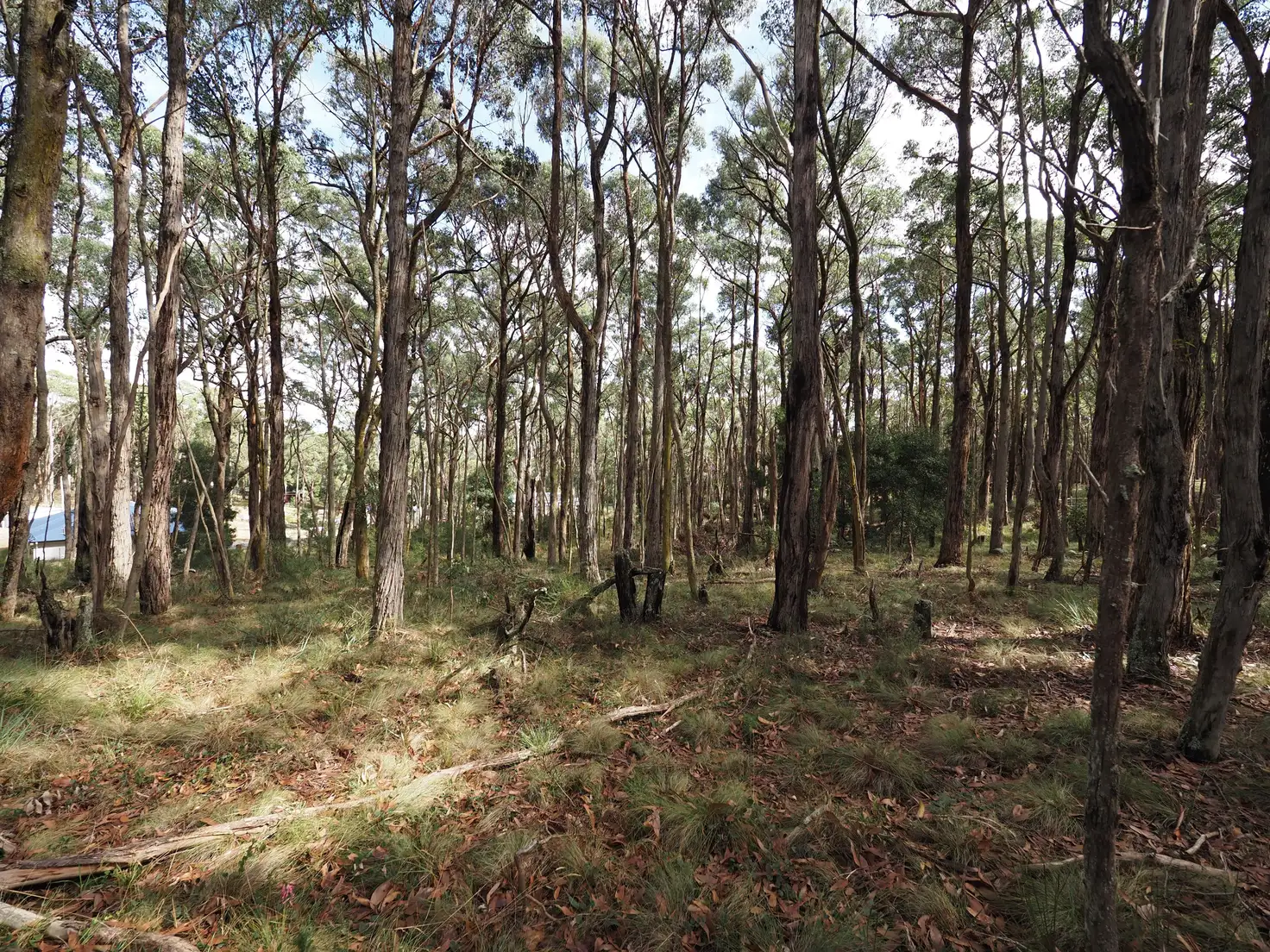 Main view of Homely land listing, Lot 114 Pine Court, Dales Creek VIC 3341
