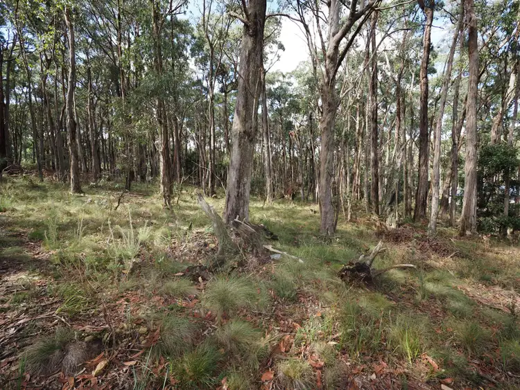 Third view of Homely land listing, Lot 114 Pine Court, Dales Creek VIC 3341