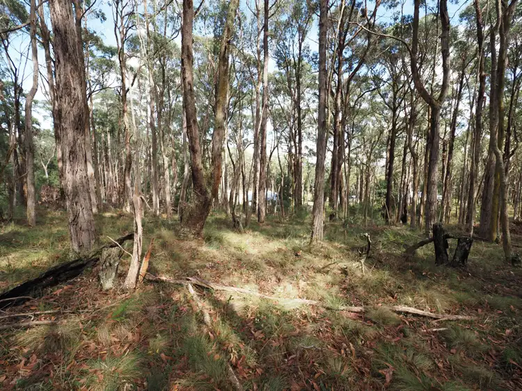 Fourth view of Homely land listing, Lot 114 Pine Court, Dales Creek VIC 3341