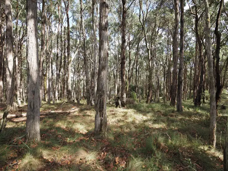 Sixth view of Homely land listing, Lot 114 Pine Court, Dales Creek VIC 3341