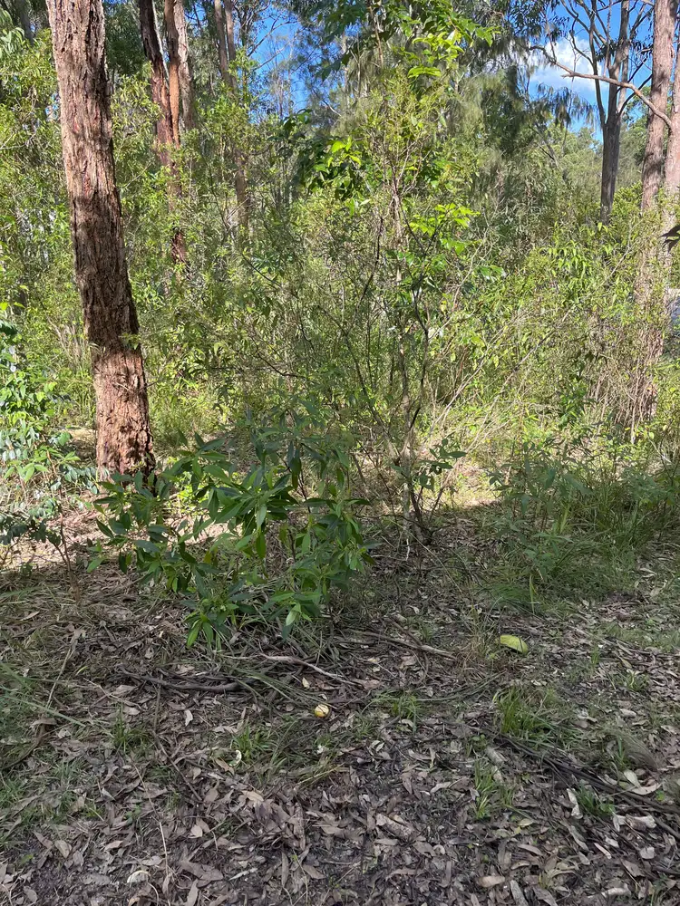 Fourth view of Homely land listing, 55 Curlew Crescent, Nerong NSW 2423