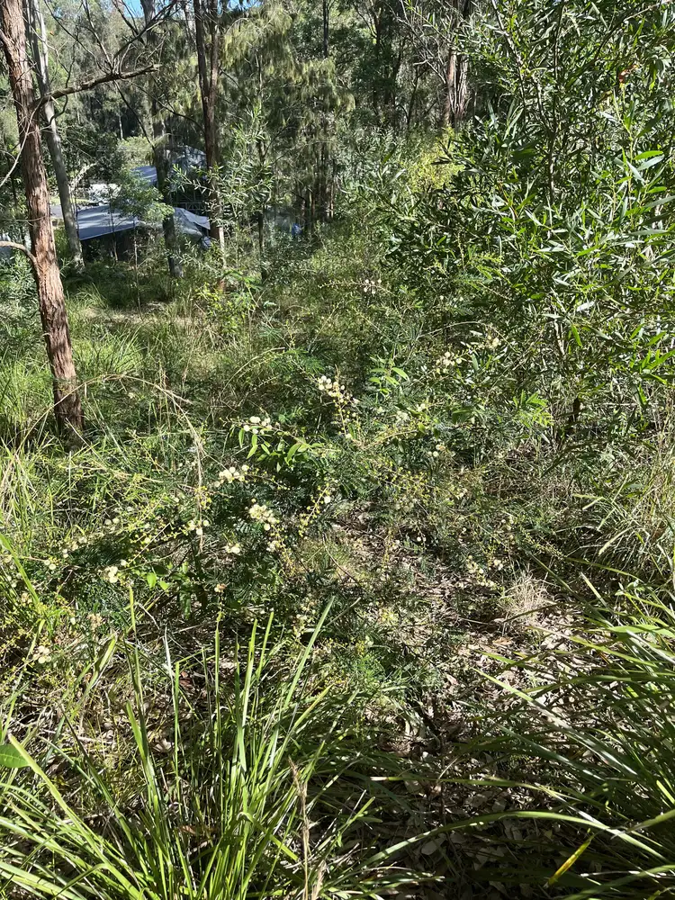 Fifth view of Homely land listing, 55 Curlew Crescent, Nerong NSW 2423