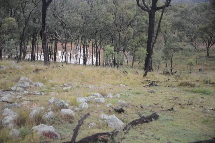 Seventh view of Homely rural property listing, 925 Mountain Maid Road, Greymare QLD 4370