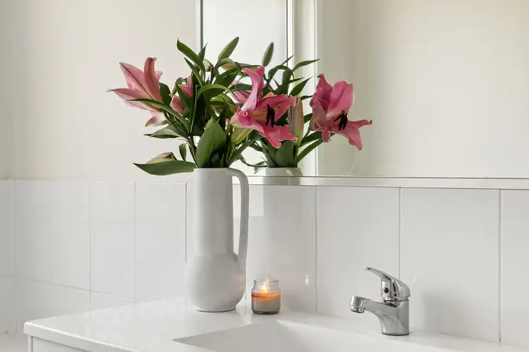 Sixth view of Homely house listing, 11 Cycad Drive, Upper Caboolture QLD 4510