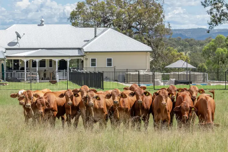 Fourth view of Homely rural property listing, 20439 New England Highway, The Glen QLD 4370