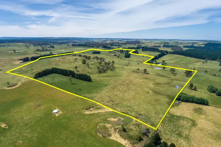 Main view of Homely rural property listing, 308 Dog Rocks Road, Oberon NSW 2787