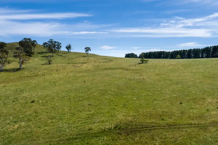 Seventh view of Homely rural property listing, 308 Dog Rocks Road, Oberon NSW 2787