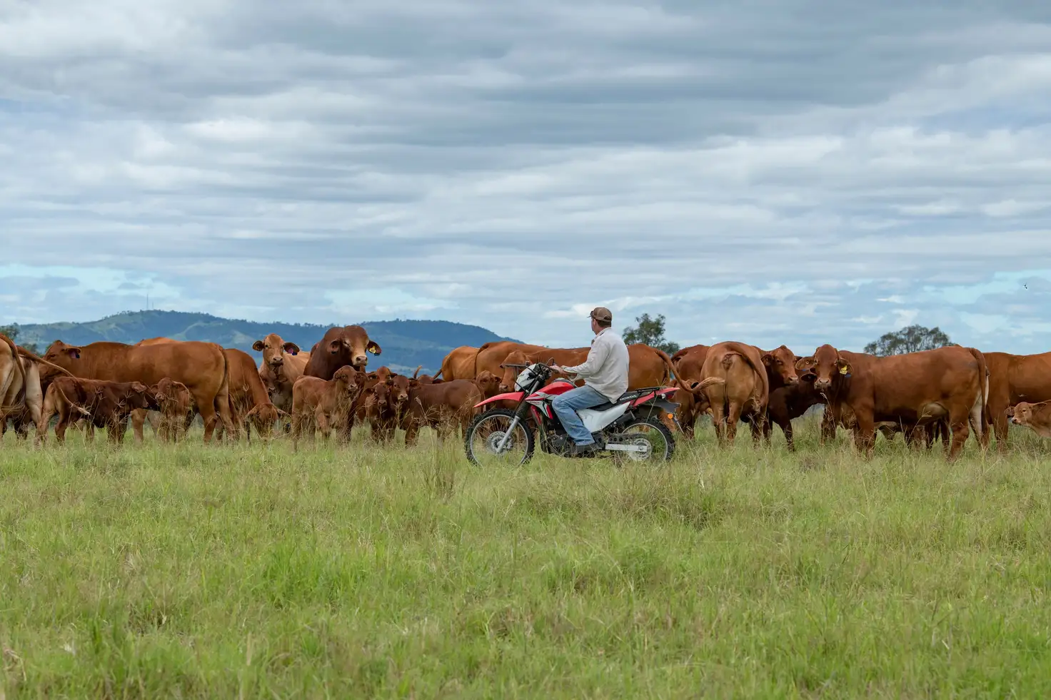 Main view of Homely rural property listing, 0 Brisbane Valley Highway, Wivenhoe Hill QLD 4311