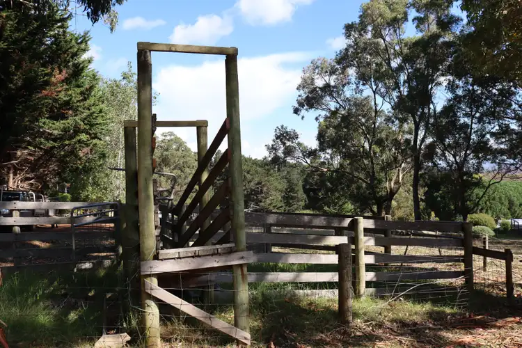 Seventh view of Homely house listing, 60 Panorama Road, Denmark WA 6333