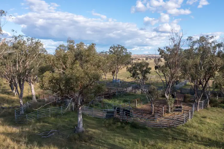 Fifth view of Homely rural property listing, 157 Coalmine Road, Ashford NSW 2361