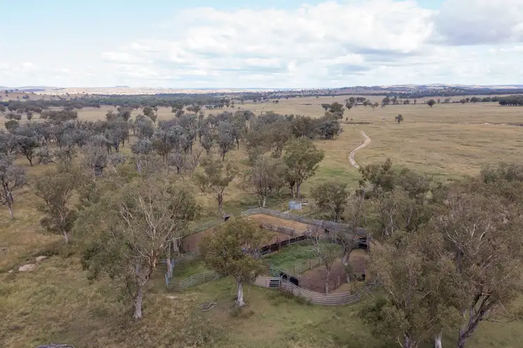 Sixth view of Homely rural property listing, 157 Coalmine Road, Ashford NSW 2361