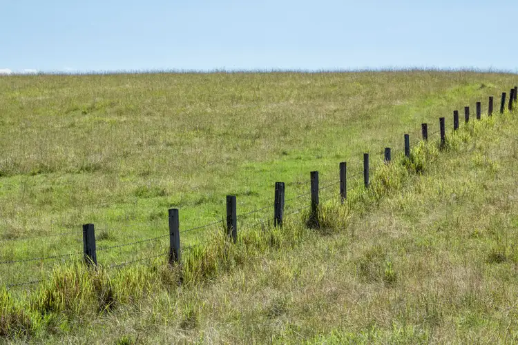 Third view of Homely rural property listing, 925 Rushforth Road, Elland NSW 2460