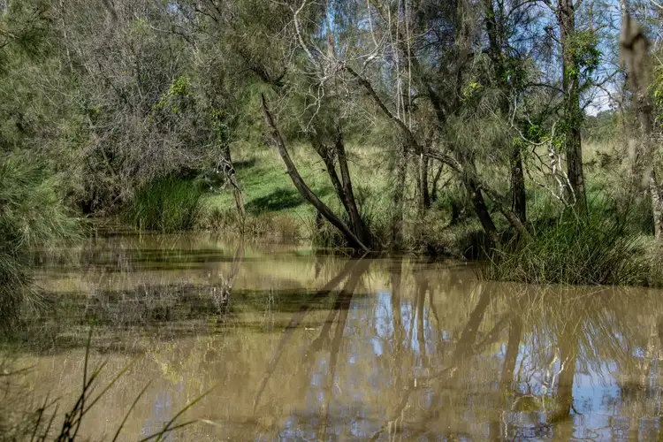 Fourth view of Homely rural property listing, 925 Rushforth Road, Elland NSW 2460