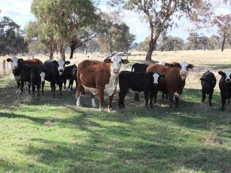 1910 Lagoon Road, Bathurst NSW 2795