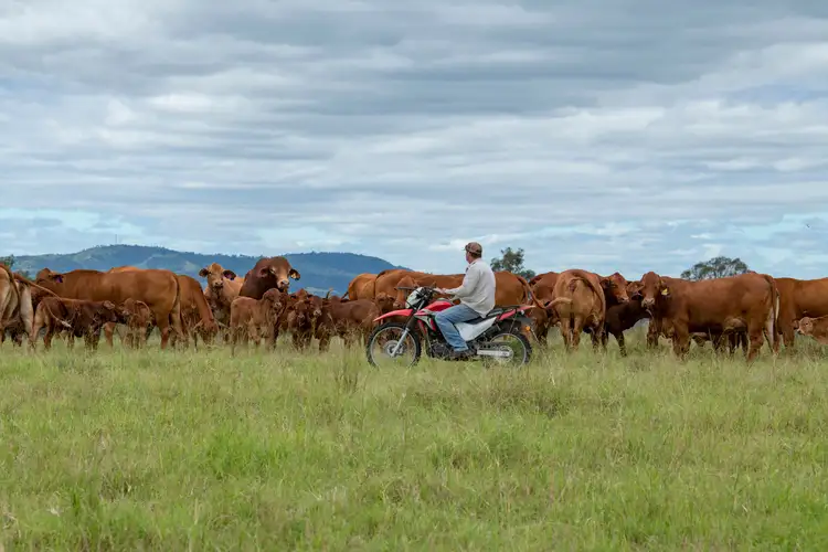 0 Brisbane Valley Highway, Wivenhoe Hill QLD 4311
