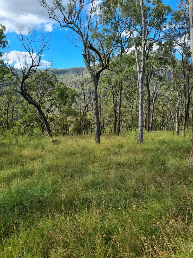 Main view of Homely rural property listing, 0 TOP SWANFELS Road, Yangan QLD 4371