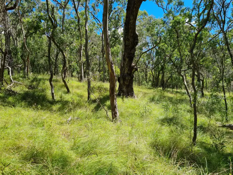 Second view of Homely rural property listing, 0 TOP SWANFELS Road, Yangan QLD 4371