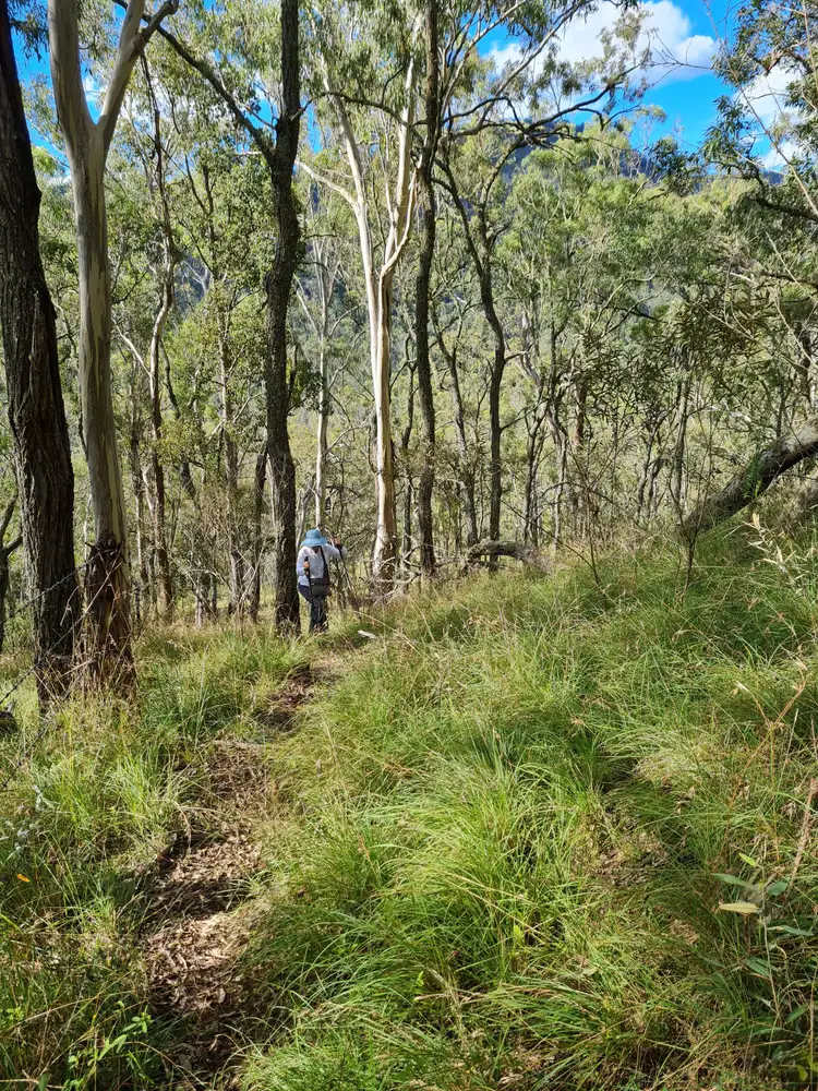 Third view of Homely rural property listing, 0 TOP SWANFELS Road, Yangan QLD 4371