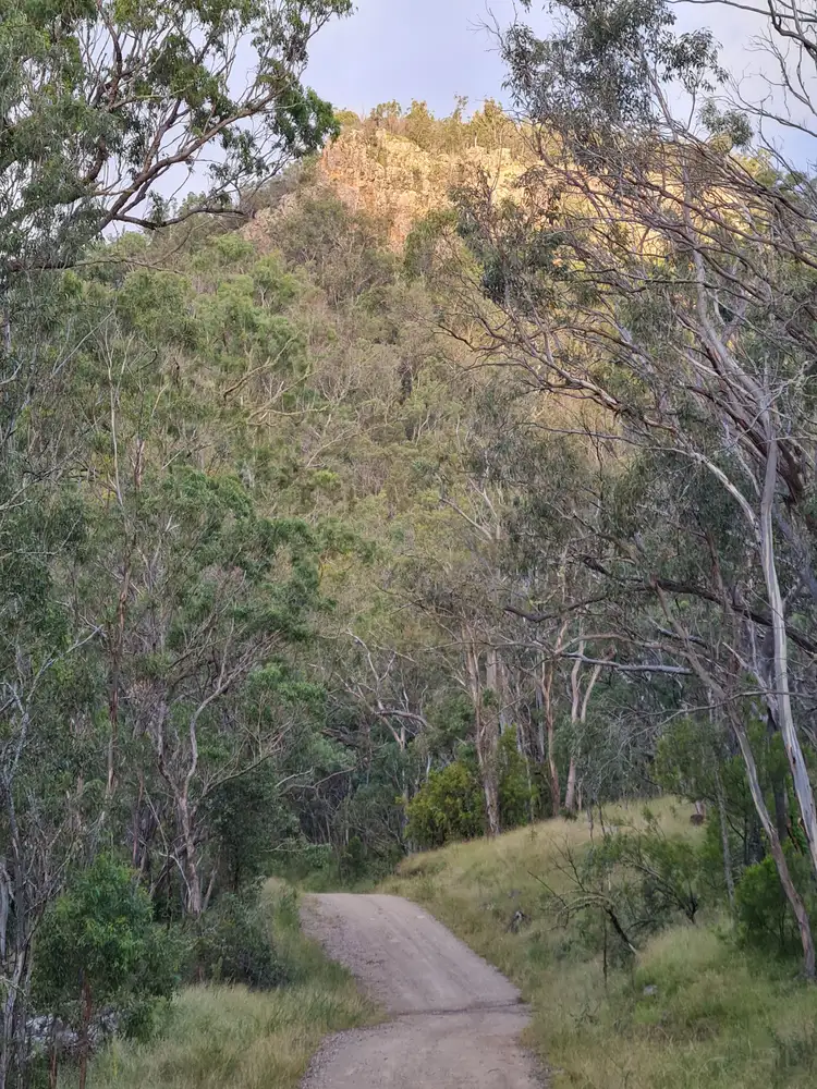 Sixth view of Homely rural property listing, 0 TOP SWANFELS Road, Yangan QLD 4371