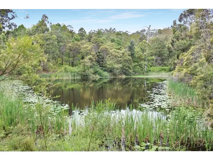 Second view of Homely rural property listing, 112 Kundle Creek Lane, Gloucester NSW 2422
