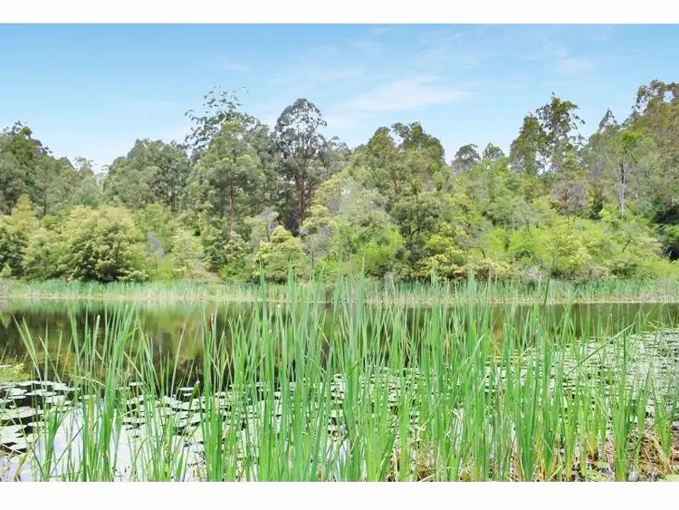 Sixth view of Homely rural property listing, 112 Kundle Creek Lane, Gloucester NSW 2422
