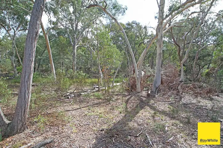 Main view of Homely land listing, 61 Birchmans Grove, Wamboin NSW 2620