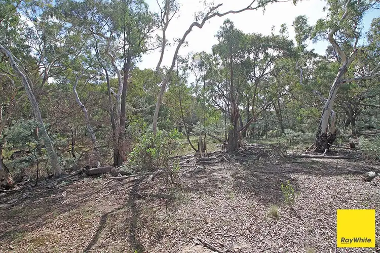 Seventh view of Homely land listing, 61 Birchmans Grove, Wamboin NSW 2620