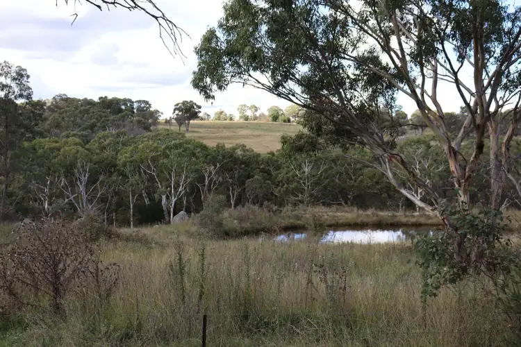 Fifth view of Homely land listing, 84 Quartz Gully Road, Uralla NSW 2358