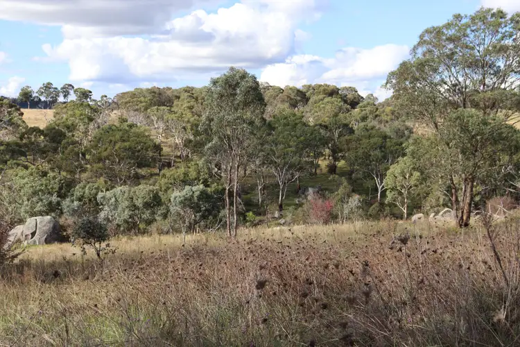 Seventh view of Homely land listing, 84 Quartz Gully Road, Uralla NSW 2358