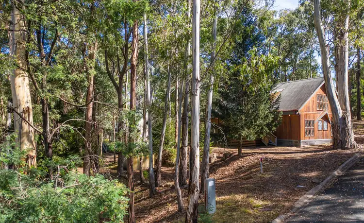 Main view of Homely house listing, 3 Gibbs Court, Sawmill Settlement VIC 3723