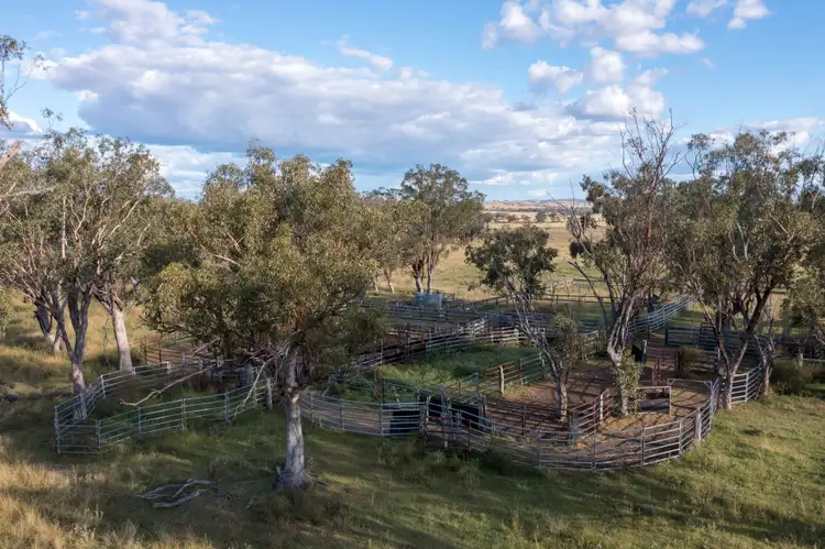 Fifth view of Homely rural property listing, 157 Coalmine Road, Ashford NSW 2361