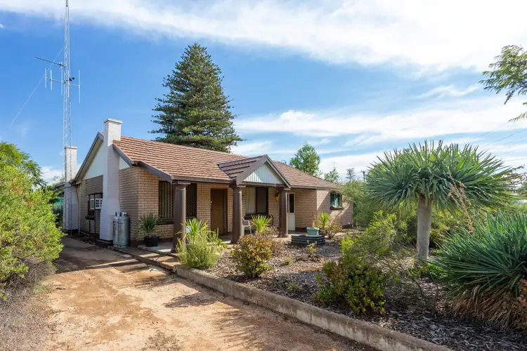 21 Zante Road, Berri SA 5343