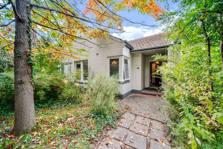 12 Spencer Street, Turner ACT 2612