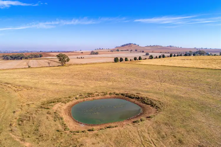 Third view of Homely rural property listing, 310 Bangaroo Road (Billimari), Canowindra NSW 2804