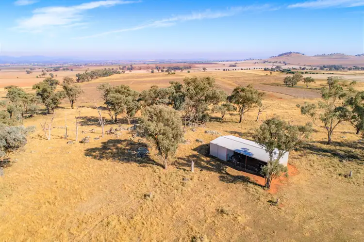 Sixth view of Homely rural property listing, 310 Bangaroo Road (Billimari), Canowindra NSW 2804