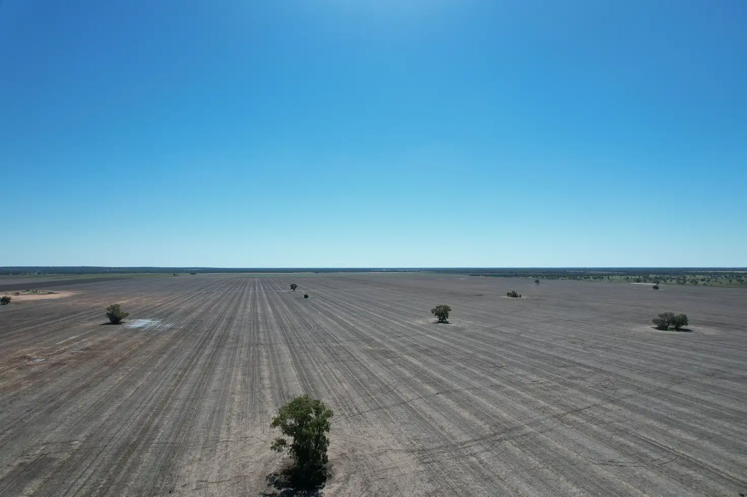 Main view of Homely rural property listing, 1425 Noondoo Mungindi Road, Dirranbandi QLD 4486