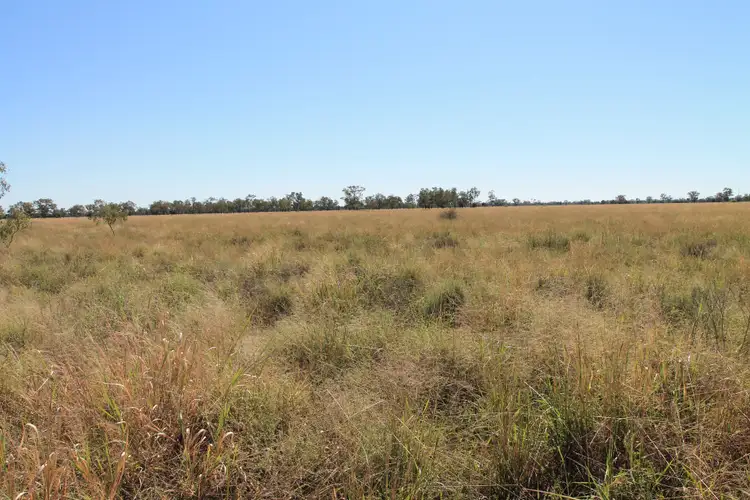 Second view of Homely rural property listing, 1425 Noondoo Mungindi Road, Dirranbandi QLD 4486