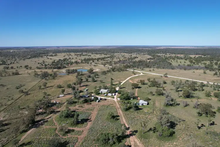 Third view of Homely rural property listing, 1425 Noondoo Mungindi Road, Dirranbandi QLD 4486