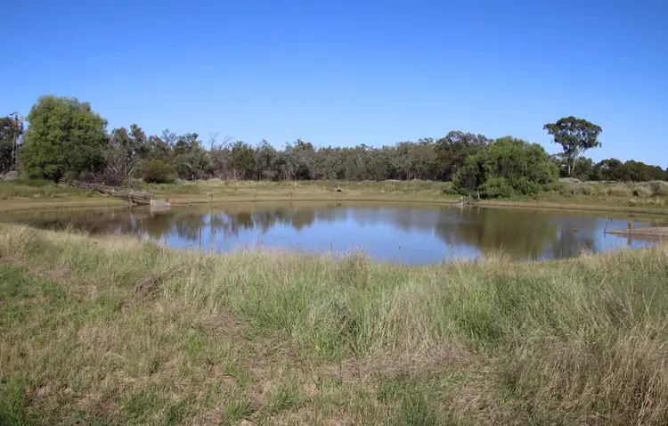 Fourth view of Homely rural property listing, 1425 Noondoo Mungindi Road, Dirranbandi QLD 4486