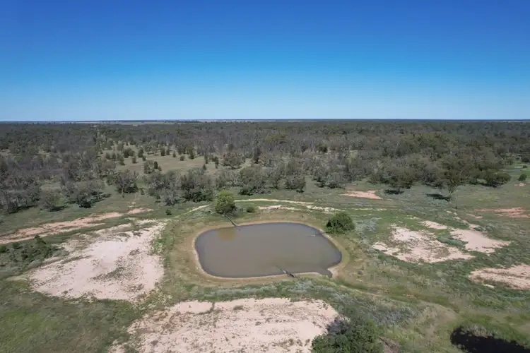 Seventh view of Homely rural property listing, 1425 Noondoo Mungindi Road, Dirranbandi QLD 4486