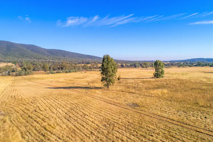 Second view of Homely rural property listing, 1023 Kangarooby Road, Gooloogong NSW 2805