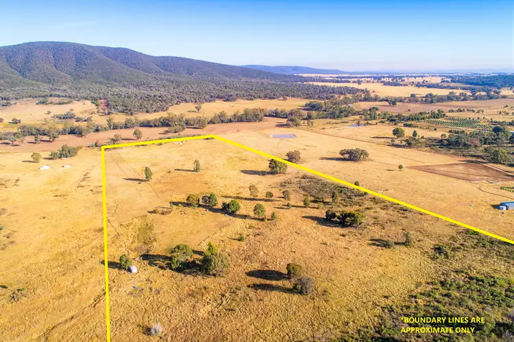 Seventh view of Homely rural property listing, 1023 Kangarooby Road, Gooloogong NSW 2805