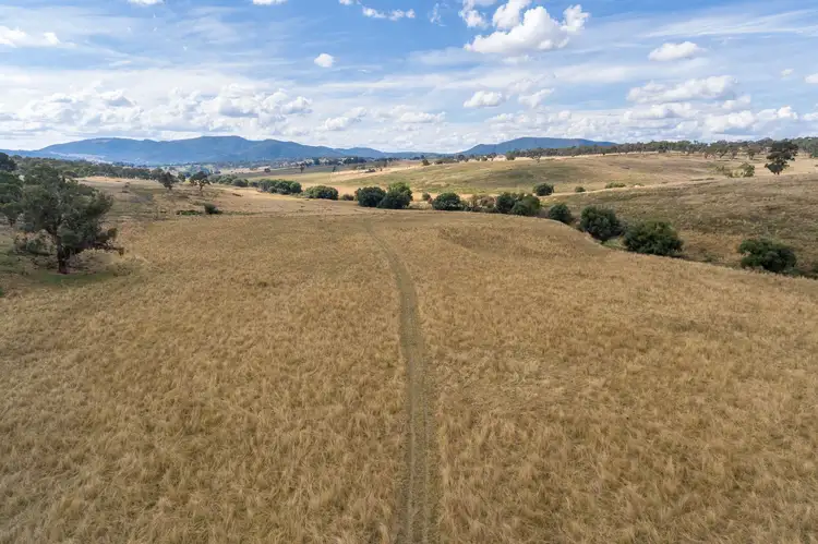 Main view of Homely rural property listing, 665 Carlwood Road, O'connell NSW 2795
