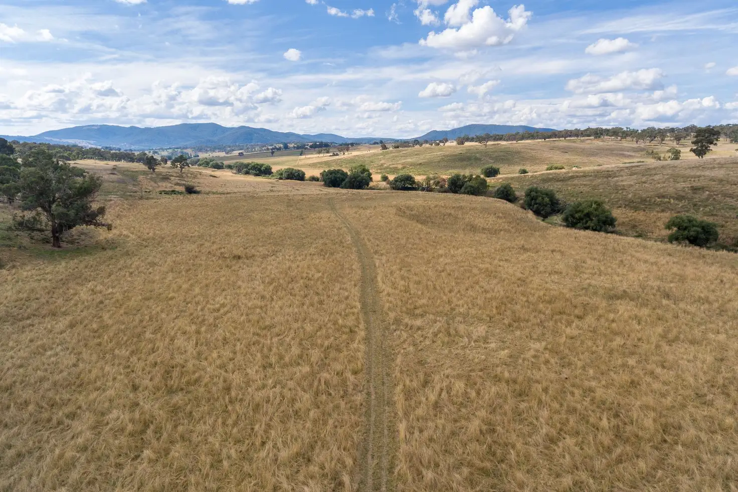 Main view of Homely rural property listing, 665 Carlwood Road, O'connell NSW 2795
