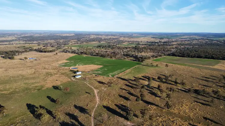 Fifth view of Homely rural property listing, 'Box Flat' Graman Road, Inverell NSW 2360